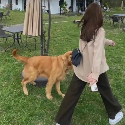 格桑花开的时候