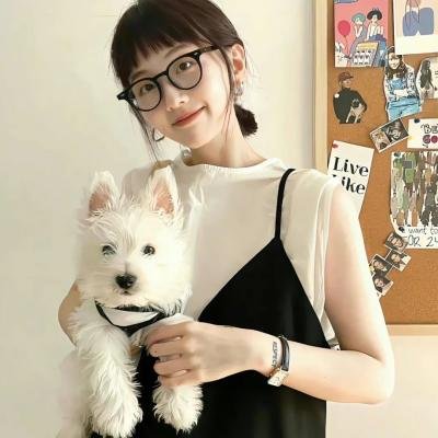 无良杂牌军